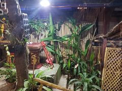 -Jungle Kitchen