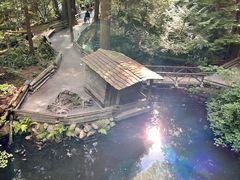 -悬崖栈道