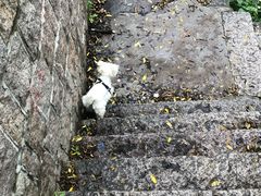 -崂山九水游览区