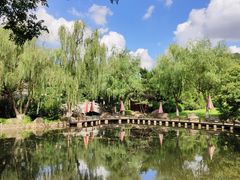 -白马涧龙池景区