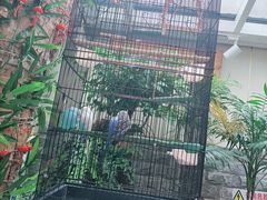 -丽江庭院之丽江往事(安定门店)