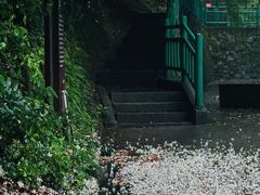 -潜山国家森林公园