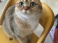 -平行世界·猫咖(首经贸店)