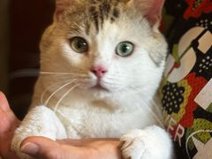 -云端咖啡私房店(河松街店)