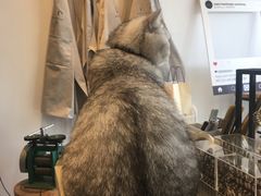 -Oasis绿洲银饰珍珠手作diy(壹方城店)