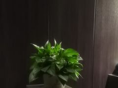 -鹿栖(佛山季华园店)