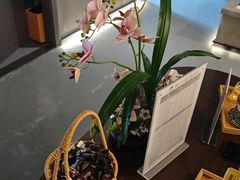 -施奈儿.洗头頭療.按摩SPA.采耳(上梅林店)