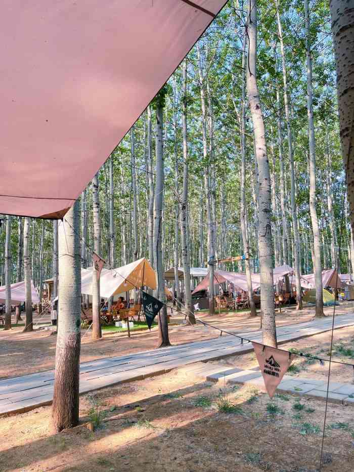 小憩杨林露营基地