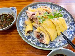 三黄鸡-九斤黄三黄鸡专卖店