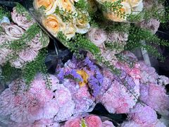 -溪岸路花鸟市场