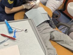 -极橙儿童齿科矫正中心(奥城店)