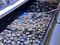 -聚盛源蒸汽海鲜火锅烤肉自助(巨川金海岸购物广场店)