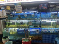 -三亚海棠湾喜来登度假酒店