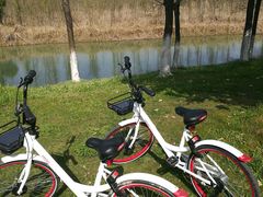 -艾溪湖湿地公园