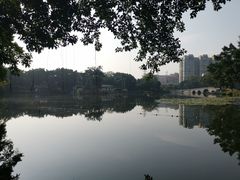 -荔湾湖公园