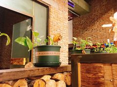 -苹果树下艺术餐厅(通州店)