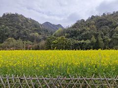 -贵阳市花溪国家城市湿地公园