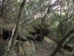 -白马涧龙池景区