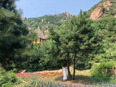 -云峰山自然风景区