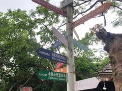 -亚龙湾热带天堂森林公园