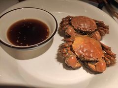 -松沪名灶·豆浆鱼头·新上海菜(飞航吾悦广场店)