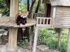 -常州淹城野生动物世界