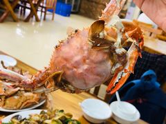 -张会海鲜饭店(东戴河店)