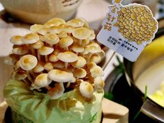 -烹然四季椰子鸡火锅(姚家园万象汇店)