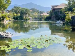 -广州从化都喜泰丽度假酒店温泉