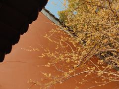 -钱王祠