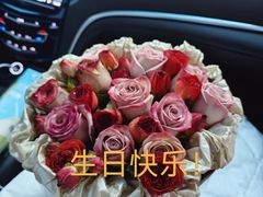 -石葵(锦业时代店)