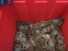 -大锅强·蒸海鲜青岛菜(金沙滩店)