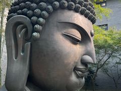-杭州植物园