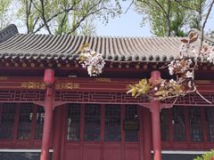 -碑林公园