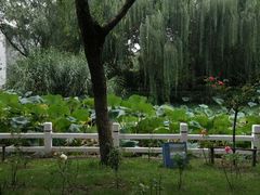 android_upload_pic-楚秀园