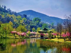 -牛首山文化旅游区