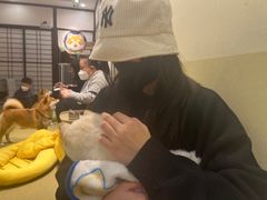 -逗柴咖啡屋·狗咖猫咖宠物桌游