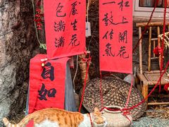 -南枝小馆(银鱼巷店)