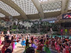 -杭州开元森泊度假乐园