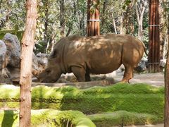 -北京野生动物园