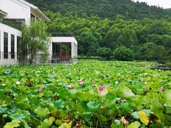-苏州环秀晓筑养生度假村
