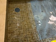 -中家鑫园温泉酒店鑫悦汤泉