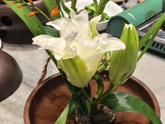 -九福楼大酒店