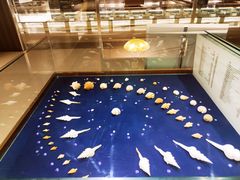 -青岛贝壳博物馆