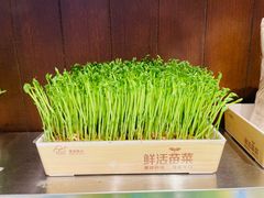 -牛New寿喜烧(闵行龙湖天街店)