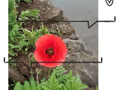 -驿舍·民國老营房院子私房菜(科学会堂店)