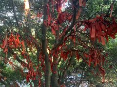 -金堂县云顶石城风景区