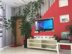 -车艺尚上海龙膜隐形车衣汽车贴膜旗舰店