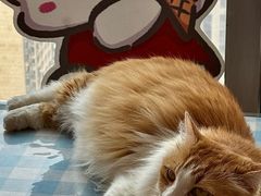 -氷冰凉刨冰甜品(北京路店)