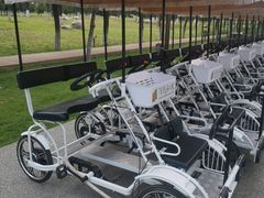 -汉长安城未央宫国家考古遗址公园